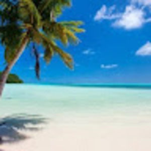 Meet your Posher, Alison